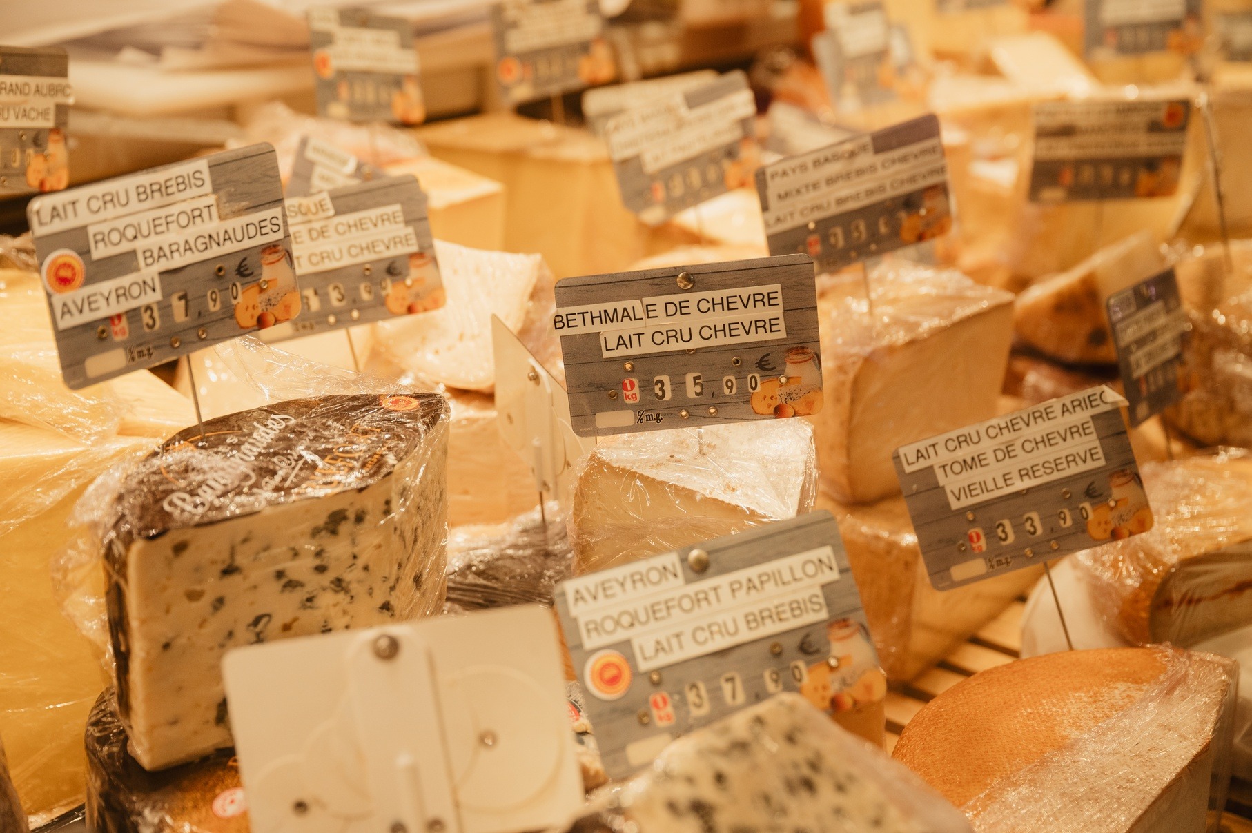 newsletter automne