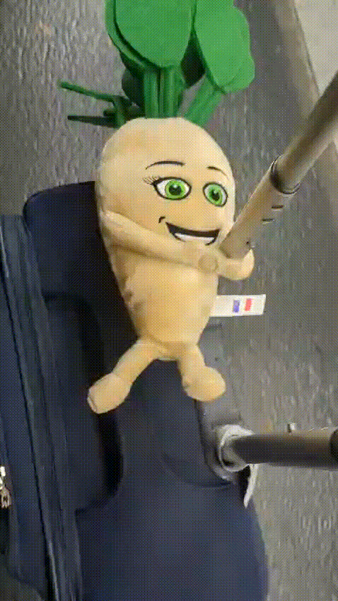betterave