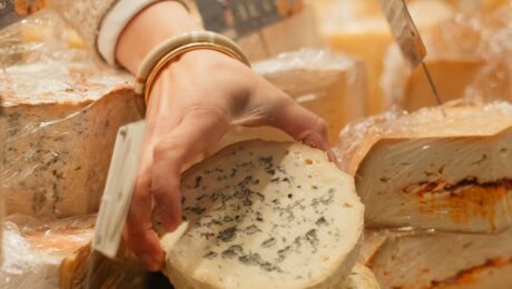 newsletter fromage newsletter fromage