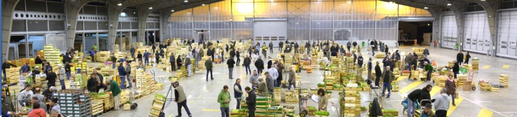 grand-marche-toulouse-carreau